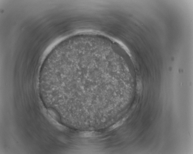 X0000082681279200702232129