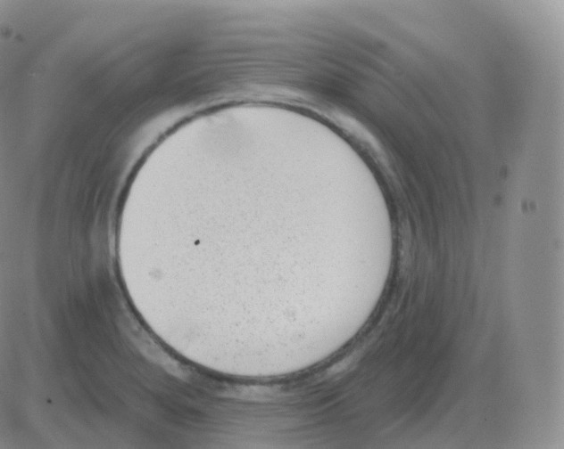 X0000082681280200702232129