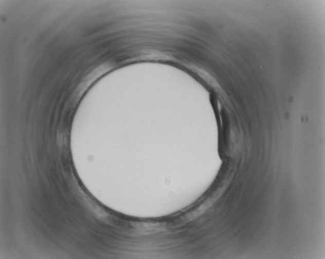 X0000082681281200702232129