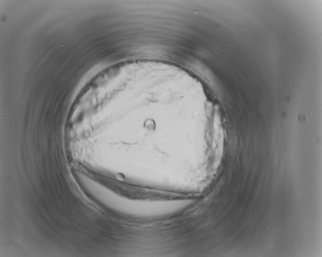 X0000082681283200702232128