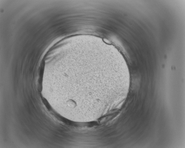 X0000082681284200702232128