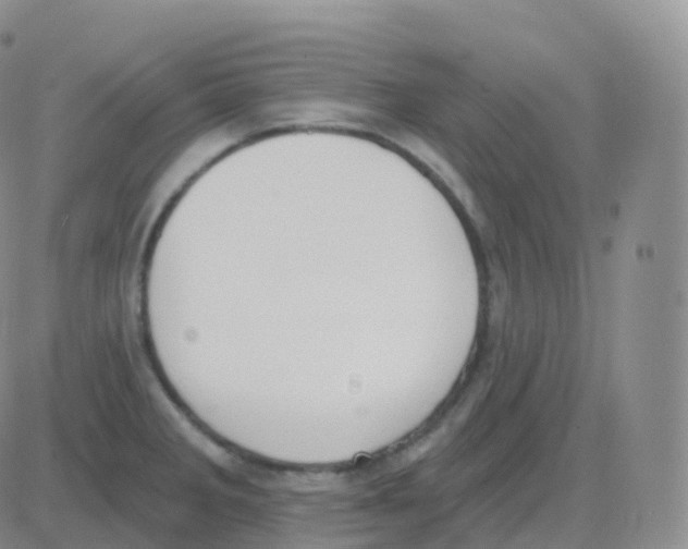 X0000082681285200702232128