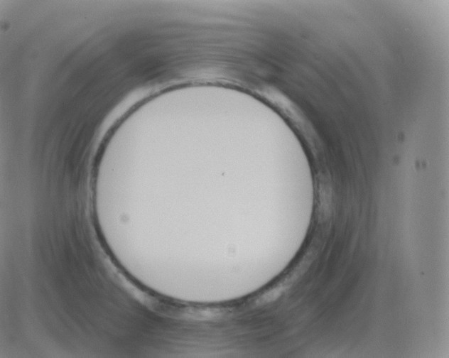 X0000082681286200702232128