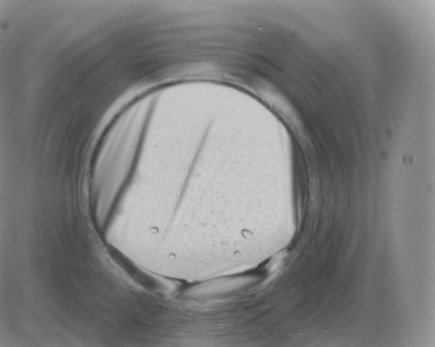 X0000082681288200702232128