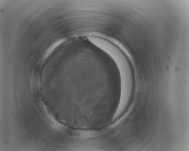 X0000082681289200702232128