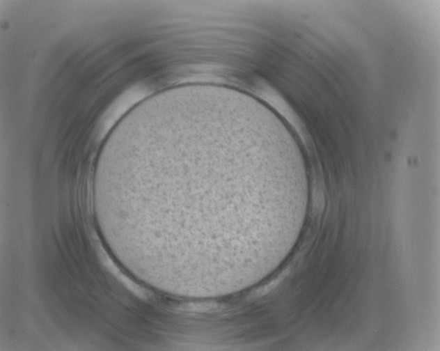 X0000082681290200702232128