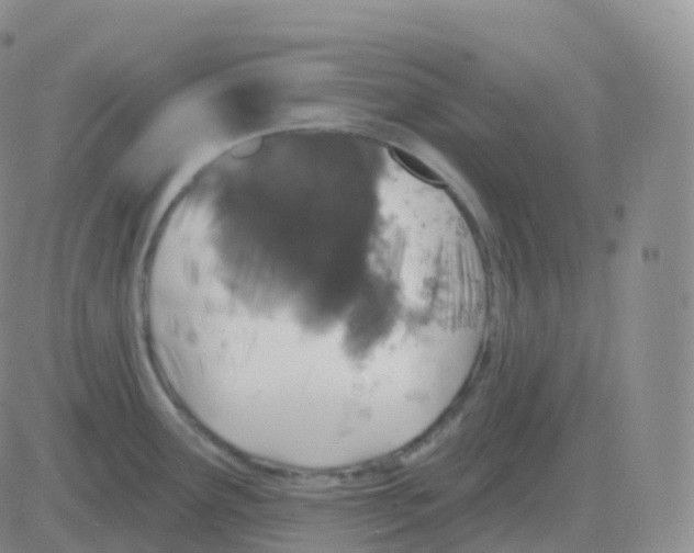 X0000082681291200702232128