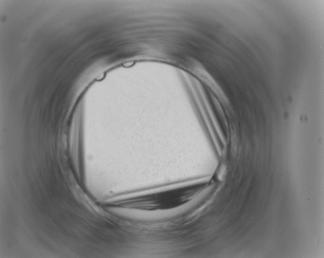 X0000082681292200702232128