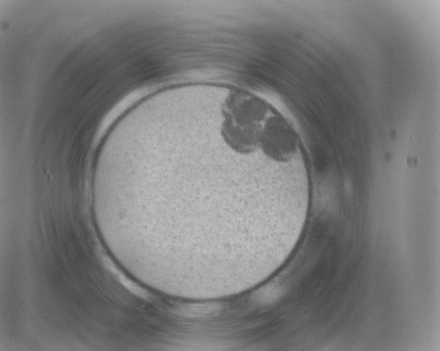 X0000082681294200702232128