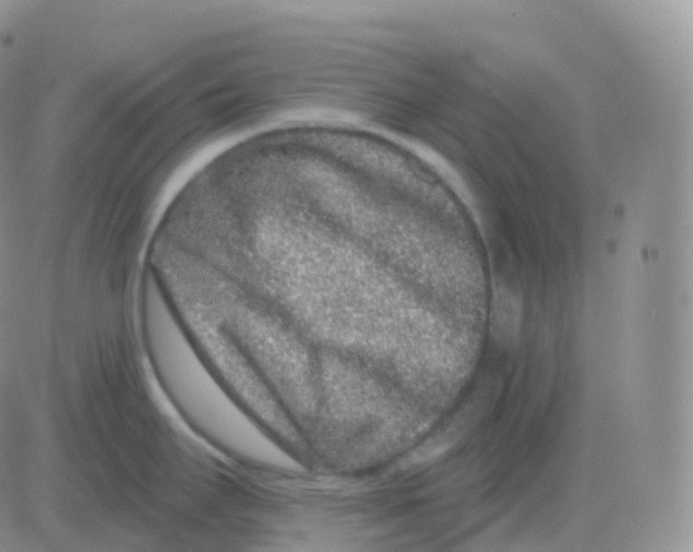 X0000082681295200702232128