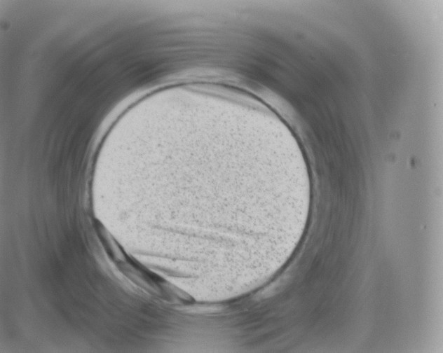 X0000082681296200702232128