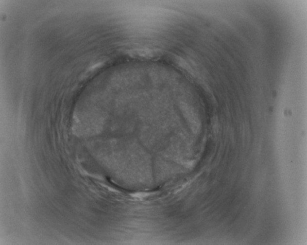 X0000082681297200702232127