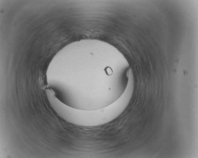 X0000082681298200702232127