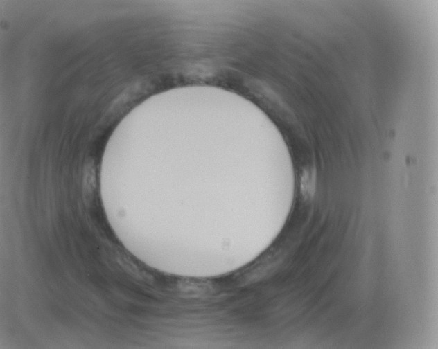 X0000082681299200702232127