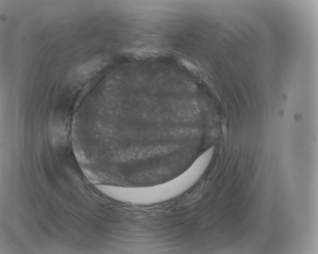 X0000082681300200702232128