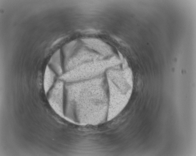 X0000082681301200702232128