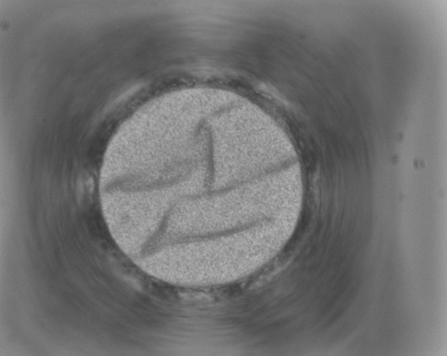 X0000082681302200702232128