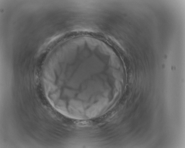 X0000082681303200702232128