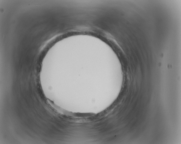 X0000082681304200702232128