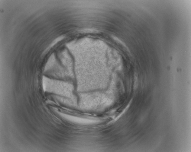 X0000082681305200702232128