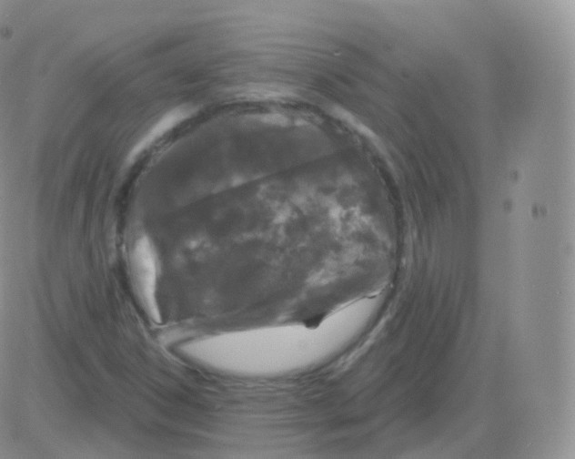 X0000082681306200702232128