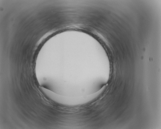 X0000082681308200702232128