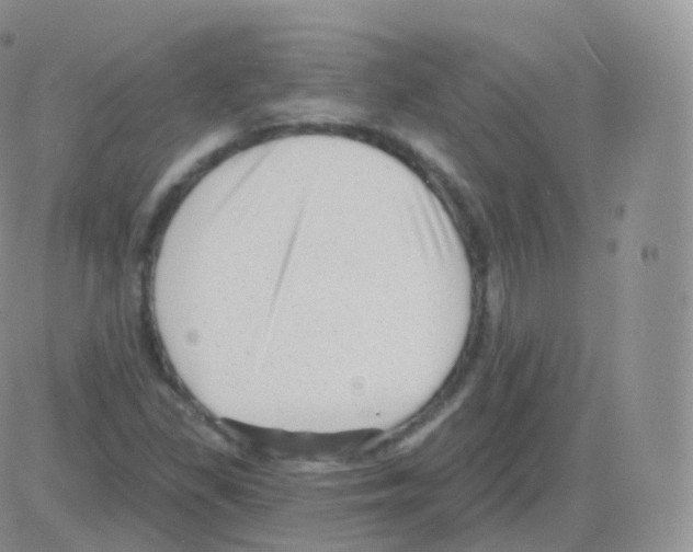 X0000082681309200702232128