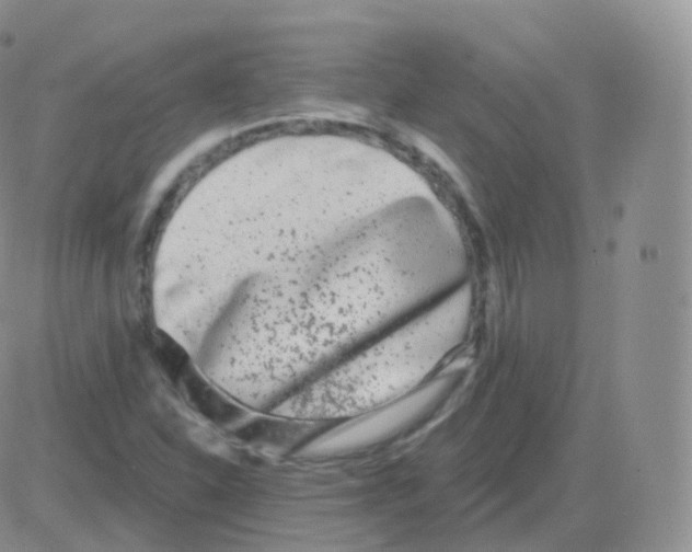 X0000082681310200702232128