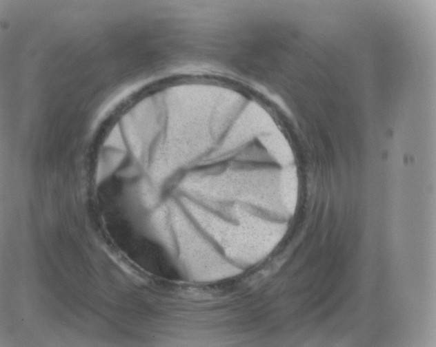 X0000082681311200702232128