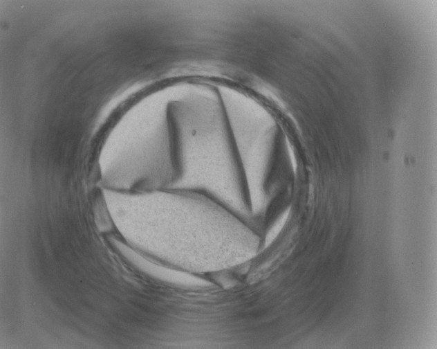 X0000082681312200702232128