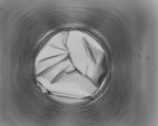 X0000082681313200702232128