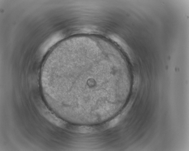 X0000082681314200702232128