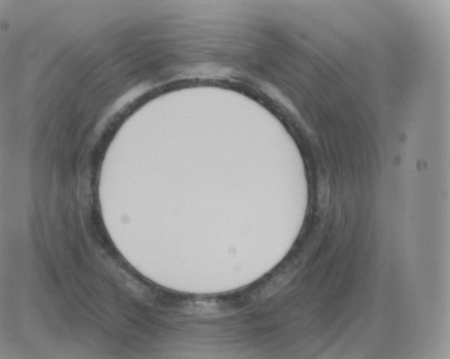 X0000082681315200702232128