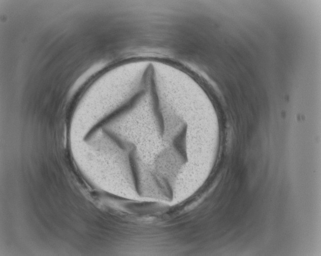 X0000082681317200702232128