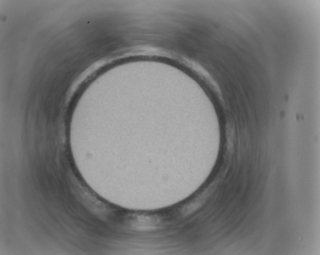 X0000082681318200702232128