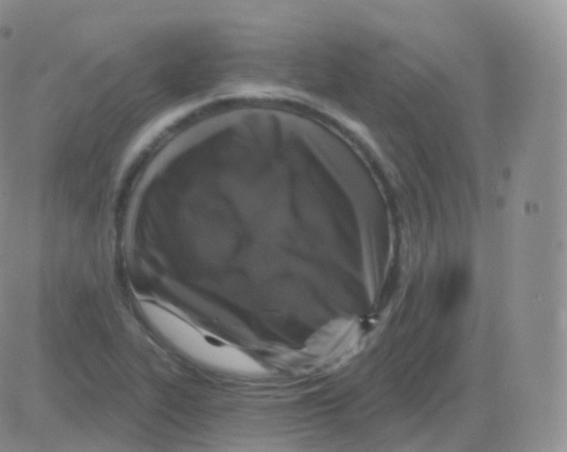 X0000082681319200702232128