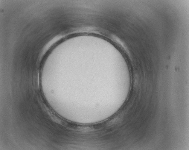 X0000082681320200702232128