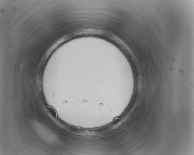 X0000082681321200702232128