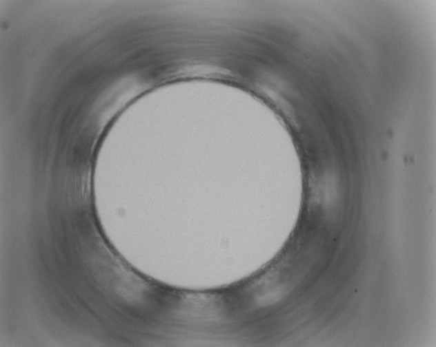 X0000082681322200702232128