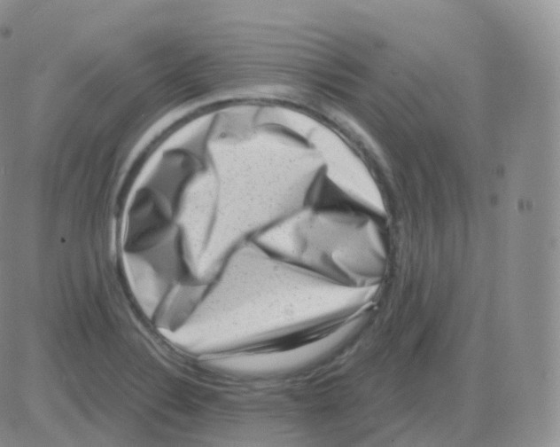 X0000082681324200702232128