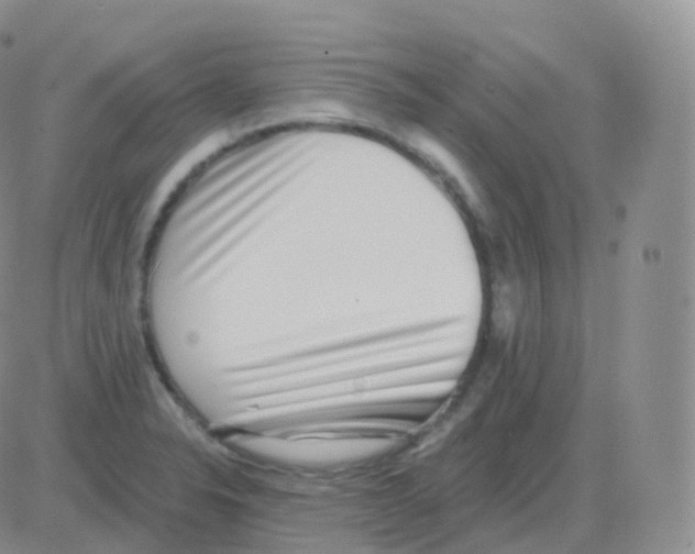 X0000082681326200702232128