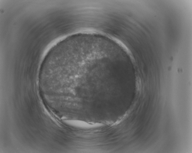 X0000082681327200702232128