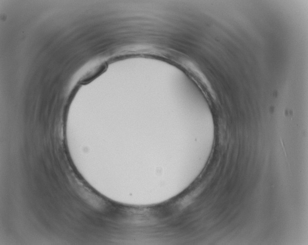 X0000082681328200702232128