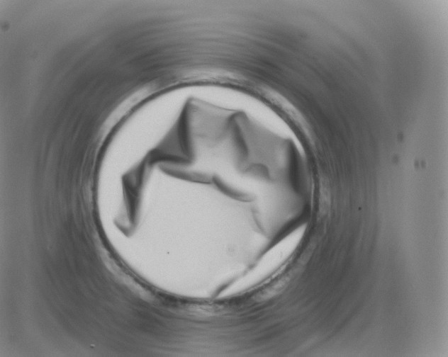 X0000082681330200702232128