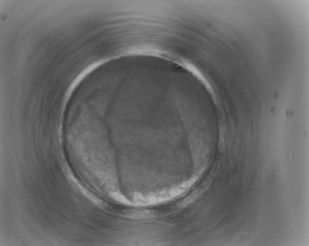 X0000082681331200702232128