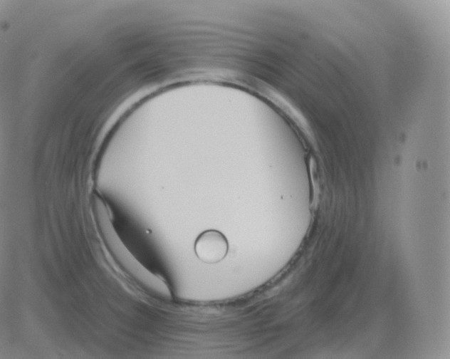 X0000082681332200702232128