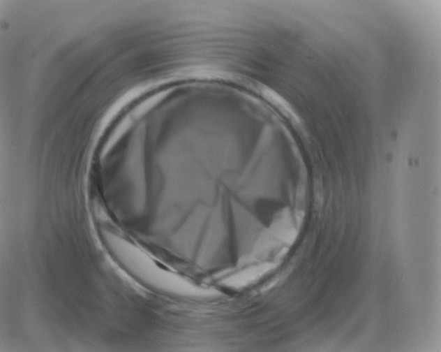 X0000082681334200702232128