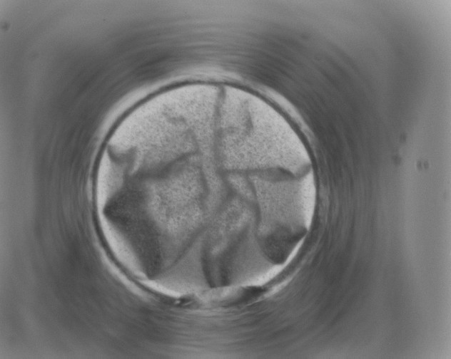 X0000082681335200702232128