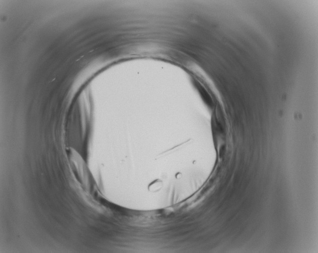 X0000082681336200702232128