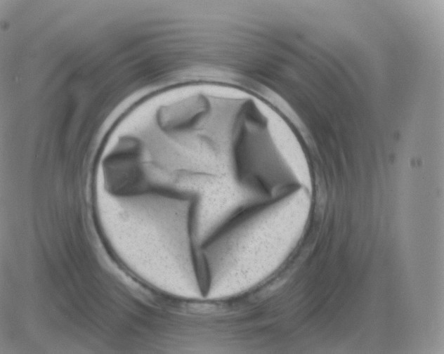 X0000082681339200702232128